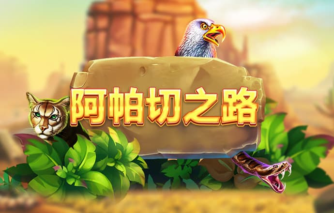 赛酷体育手机版