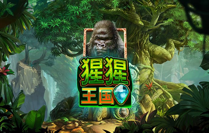 星空体育综合登录入口